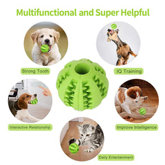 Retractable Dog Leash